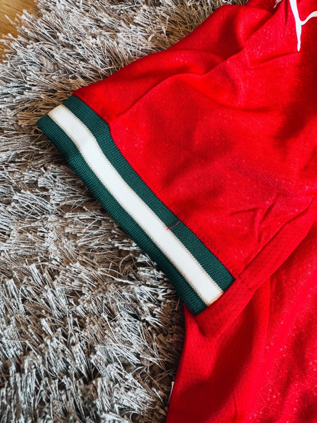 portugal 2025 26 home kit imported thai grade jersey, player edition portugal 2025 26 home kit imported thai grade jersey, player edition